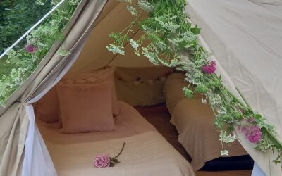 Let’s Turn Your Glamping Dreams Into Reality