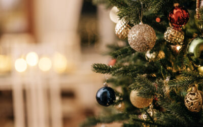 Looking for someone to cater for your Christmas Party